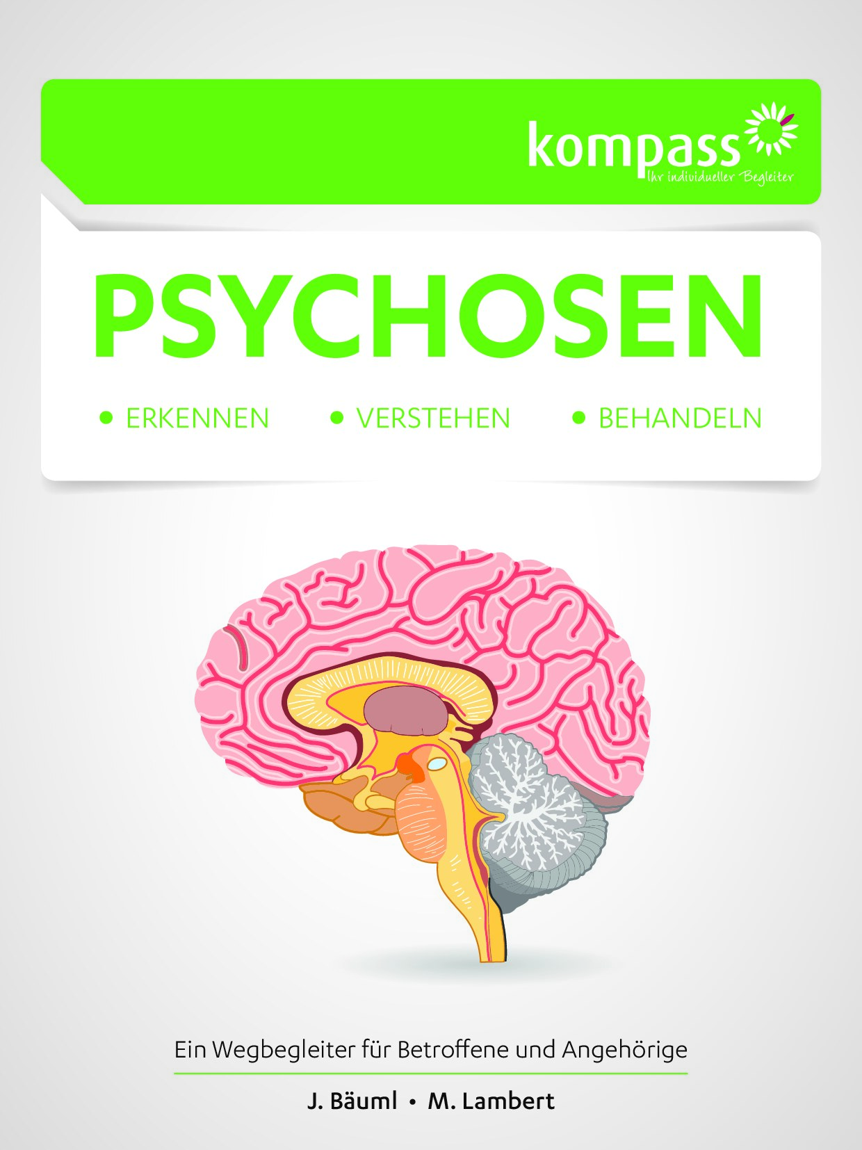 Psychose - Erkennen, Verstehen, Behandeln